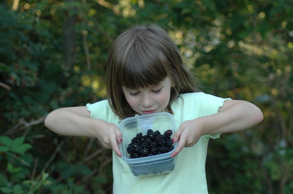 Jessica picking blackberries