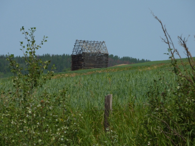 Barn