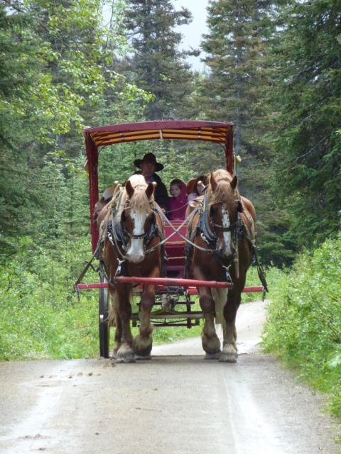 Barkerville