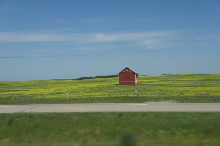 Red Barn, Yellow Field
