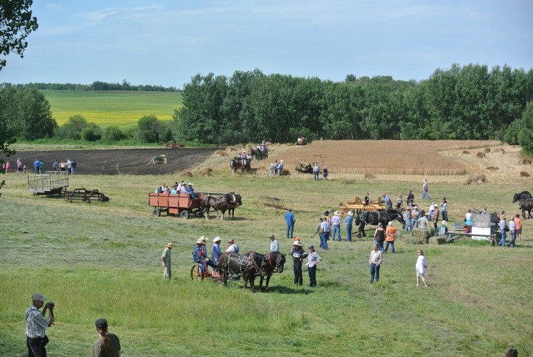 Demonstration Area