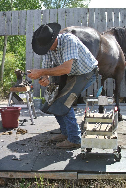 Horseshoeing