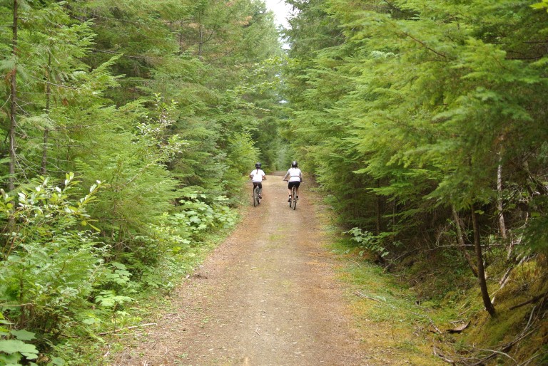 Lake Trail Bike