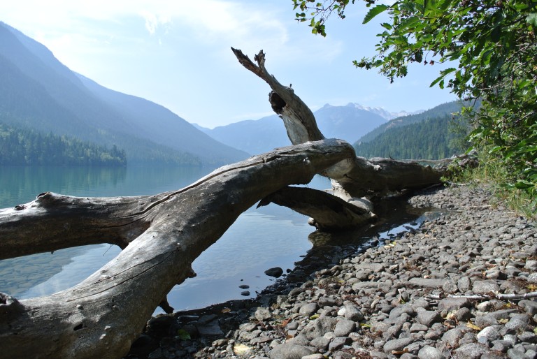 Birkenhead Lake by Canoe