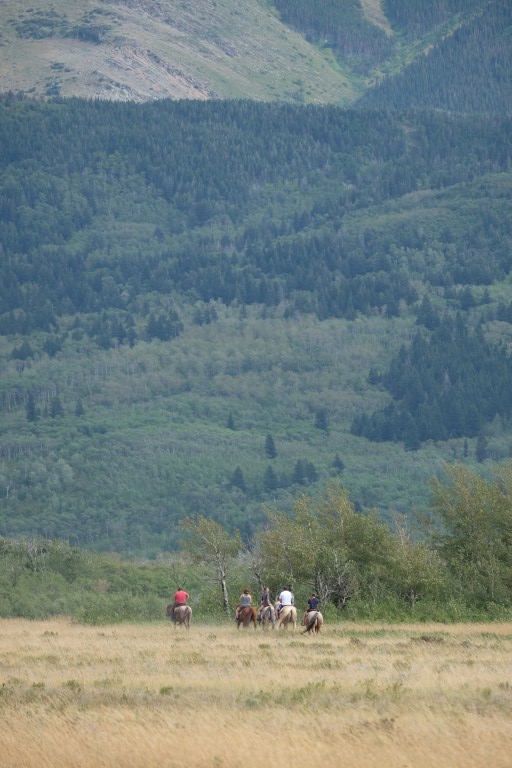 On Horseback