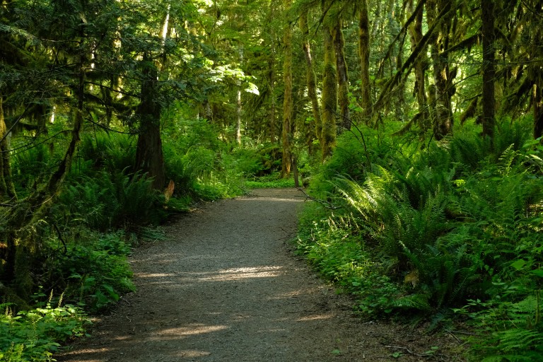 Green Trail