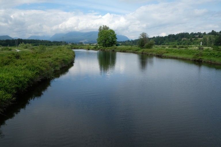 Coquitlam River