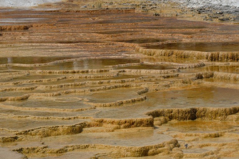 Mammoth Hot Springs