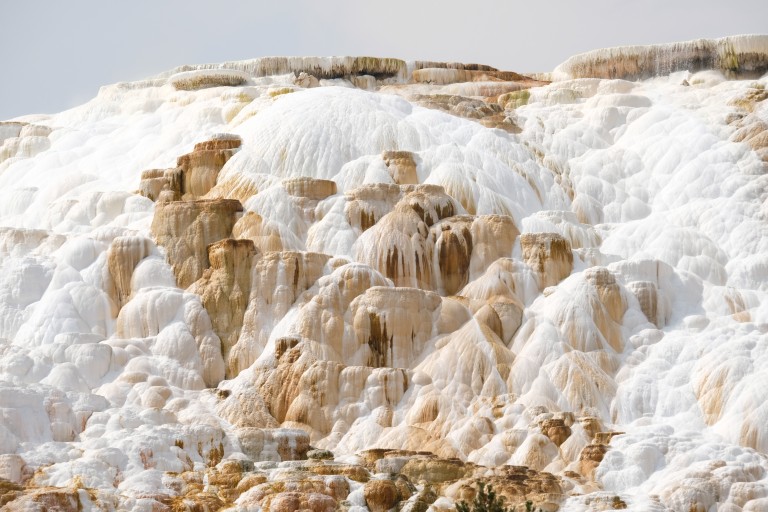 Mammoth Hot Springs