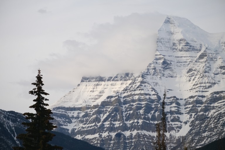 Mt Robson