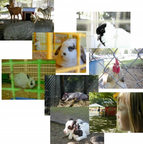Animal collage