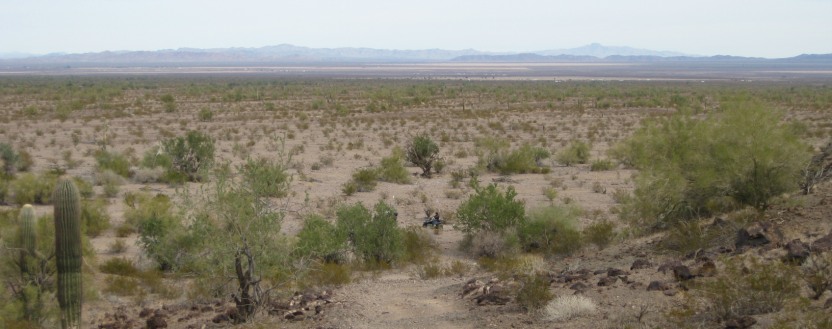 Desert Panorama