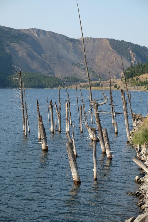 Earthquake Lake