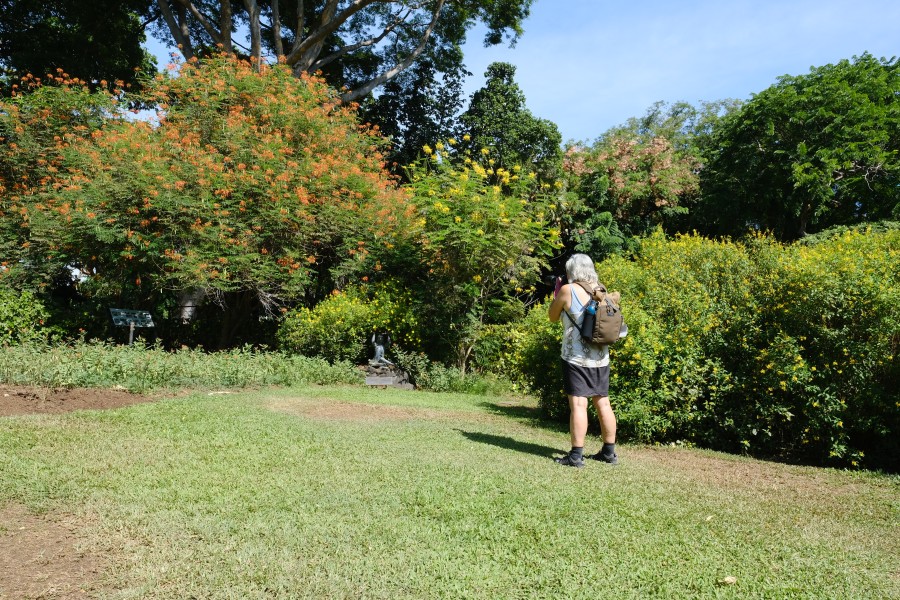 Butterfly Hunter