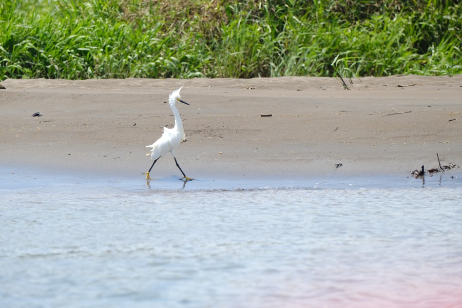 Costa Rica