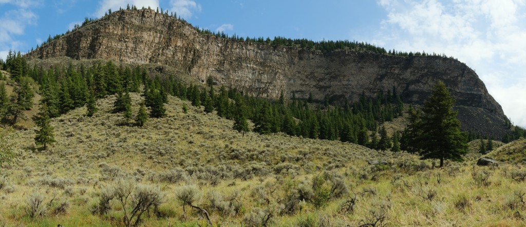Dog Creek Bluff