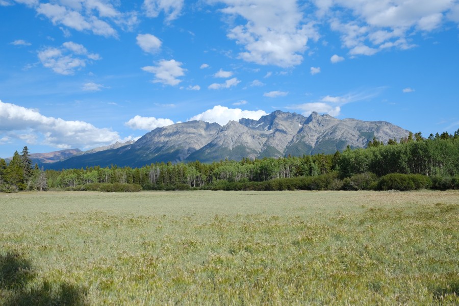 Chilko Lake