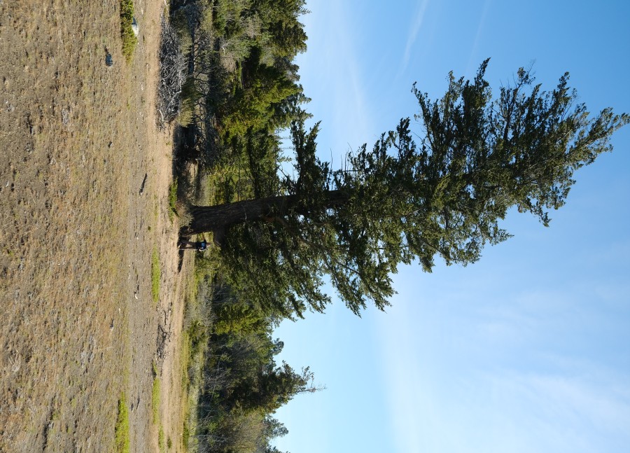 Chilko Lake