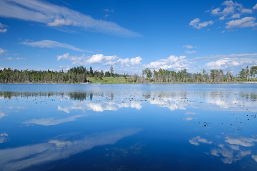 McIntyre Lake