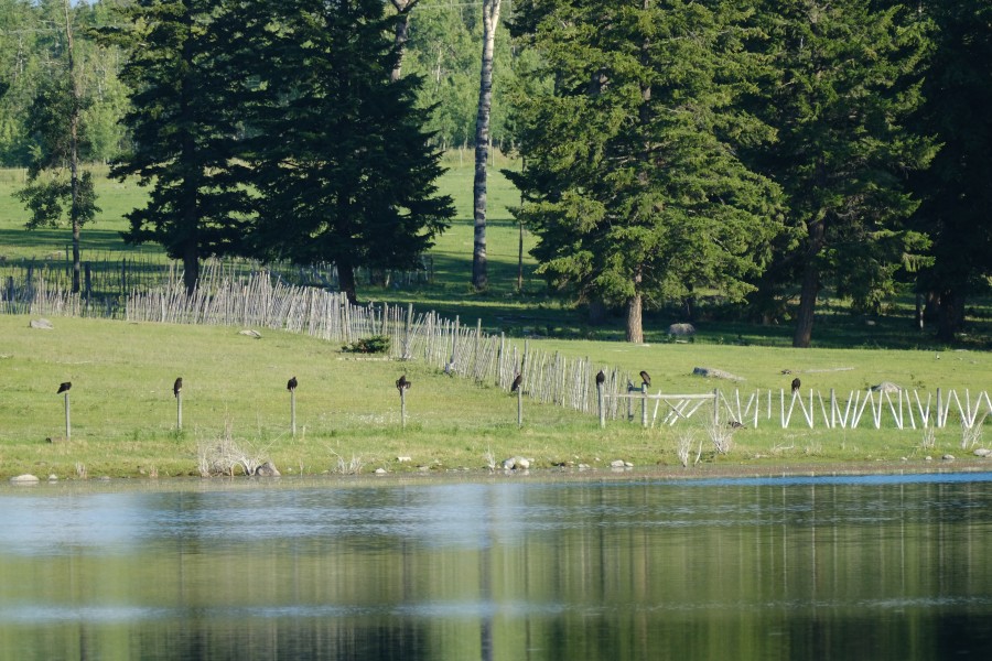 McIntyre Lake