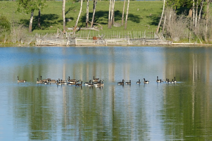 McIntyre Lake